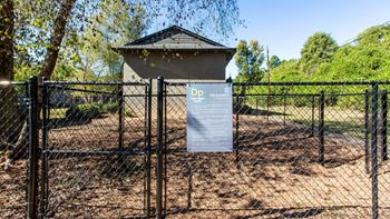 Dog park